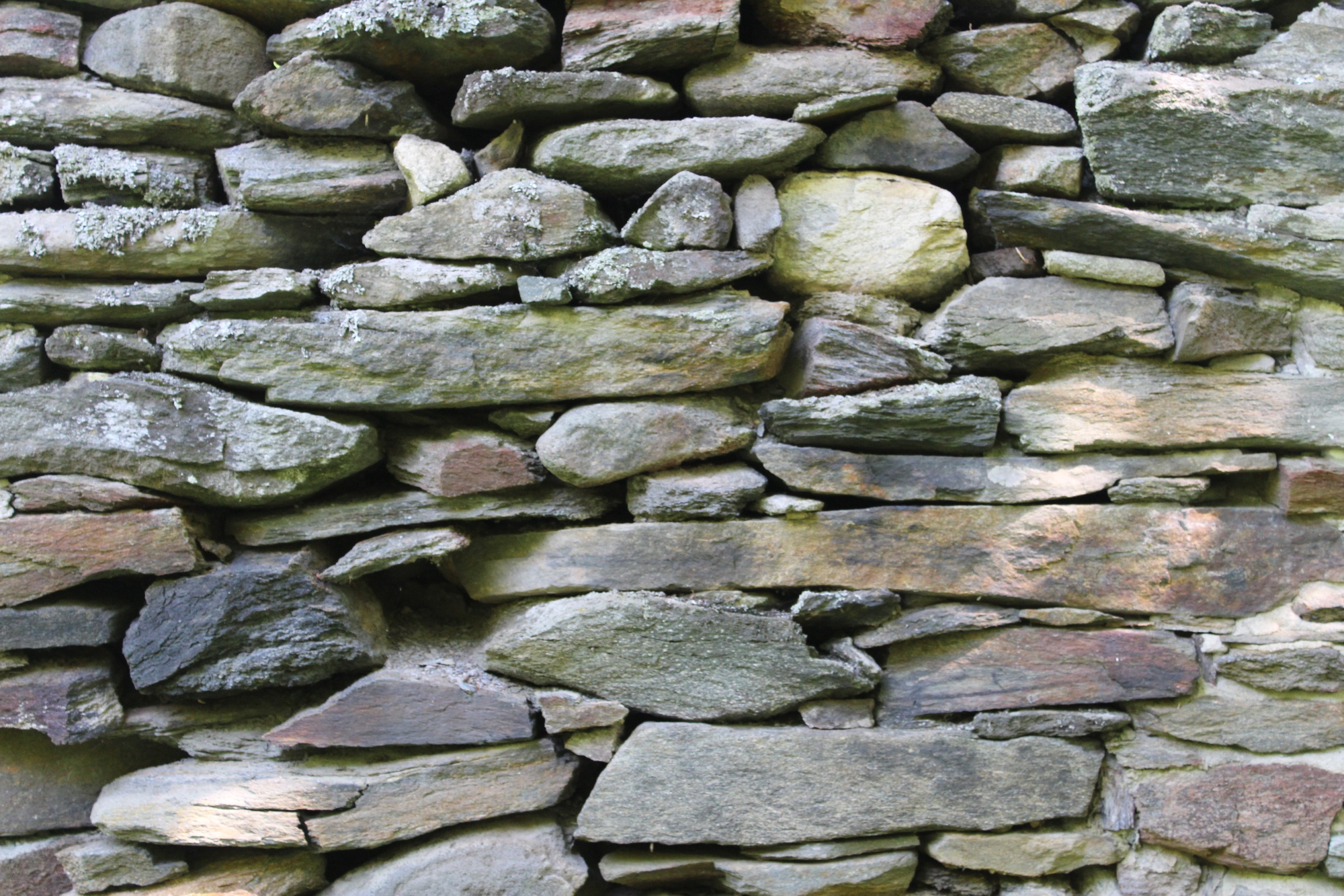 Close-up of a moss-covered dry stone wall in the Reading, Vermont sugarbush